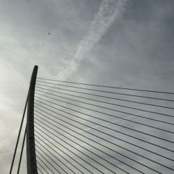 Slide 36: Suspension bridge over the Jardín del Turia